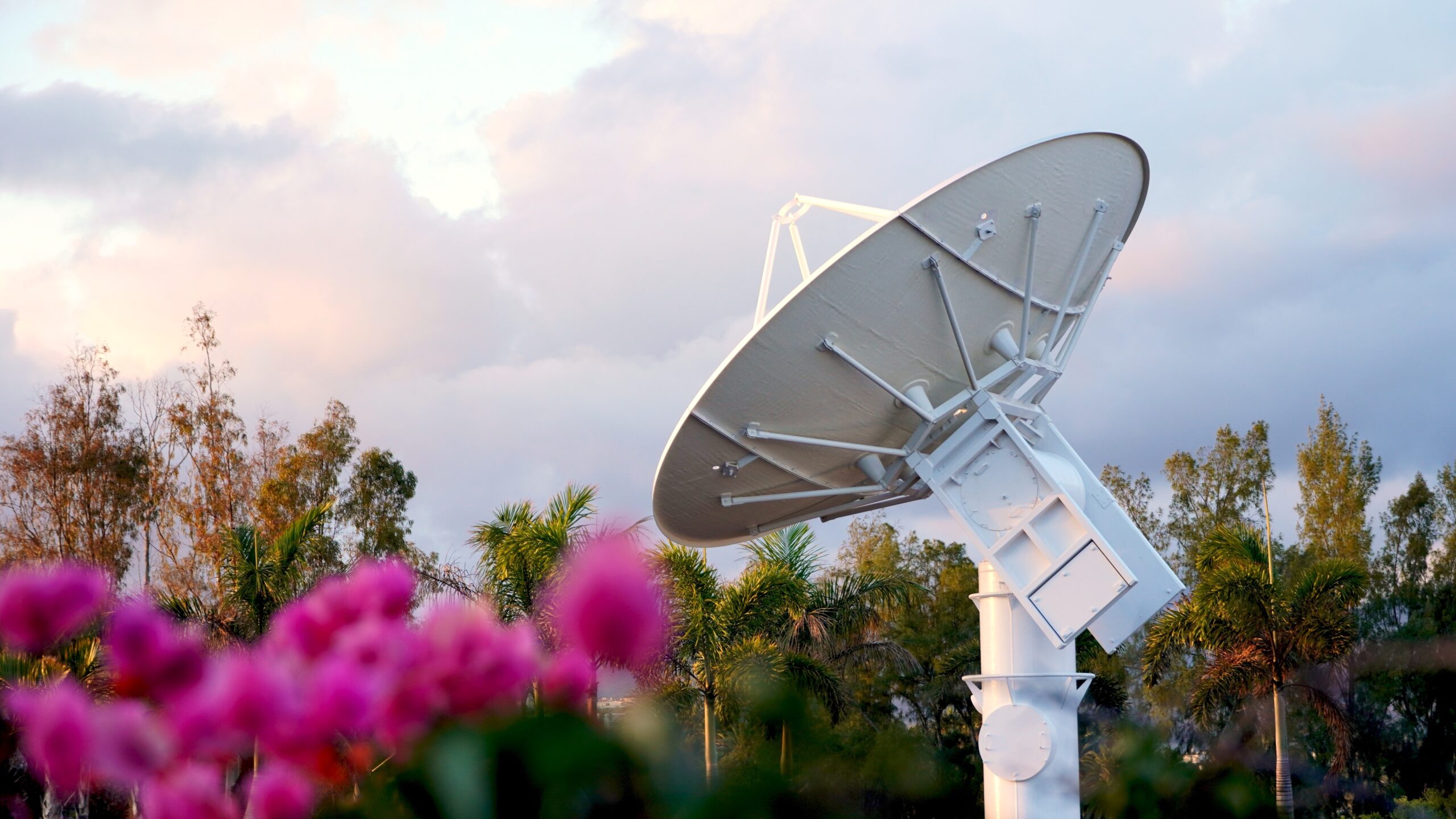Antenna Analyzers